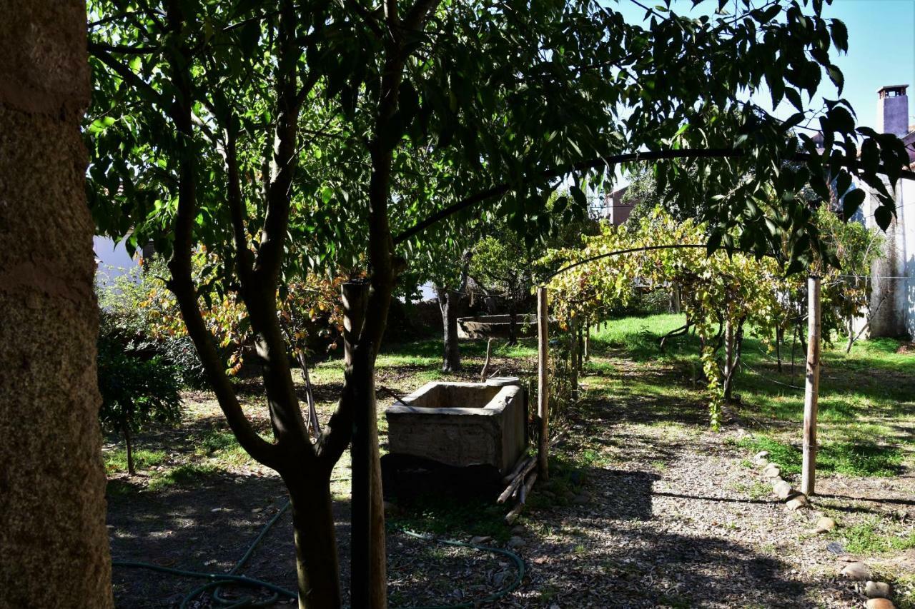 Casa Dona Amelia Villa Idanha-a-Nova Buitenkant foto
